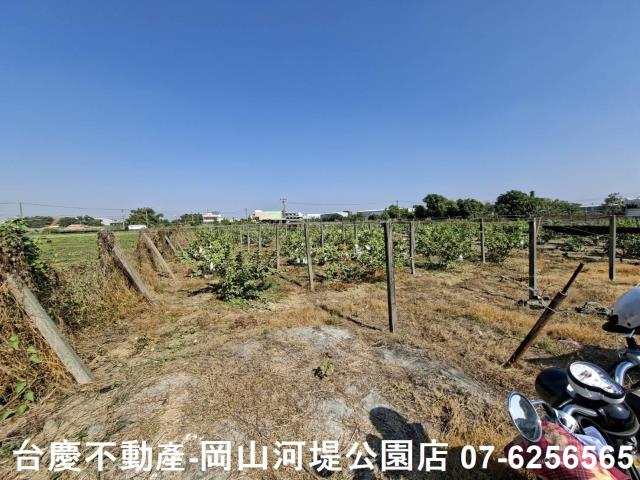 高雄大社農地-0