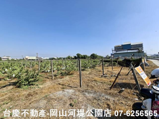 高雄大社農地-1