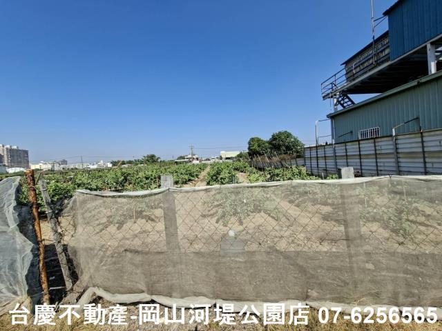 高雄大社農地-8