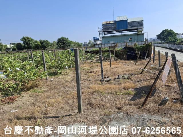高雄大社農地-3