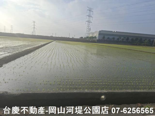 高雄路竹農地-1