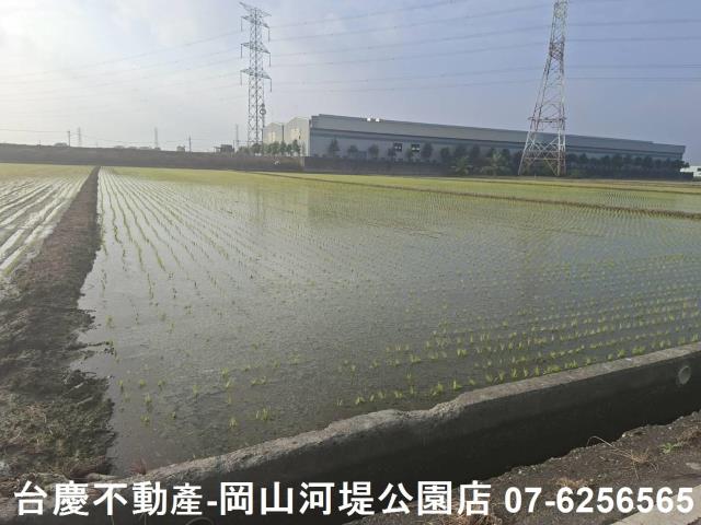 高雄路竹農地-2