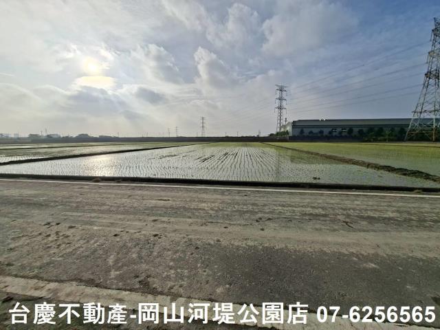 高雄路竹農地-5
