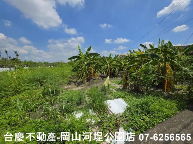 高雄阿蓮農地-2