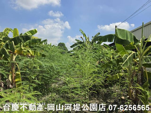 高雄阿蓮農地-4