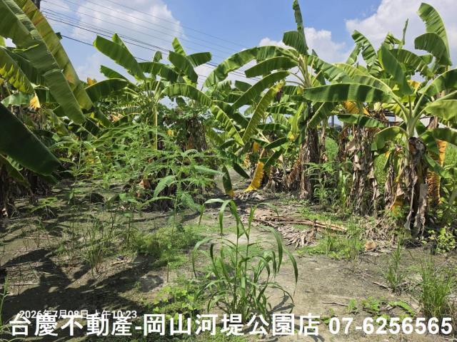 高雄阿蓮農地-6