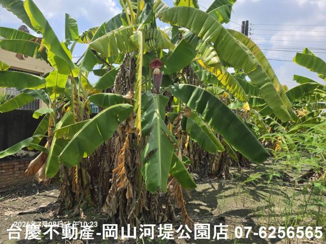 高雄阿蓮農地-7
